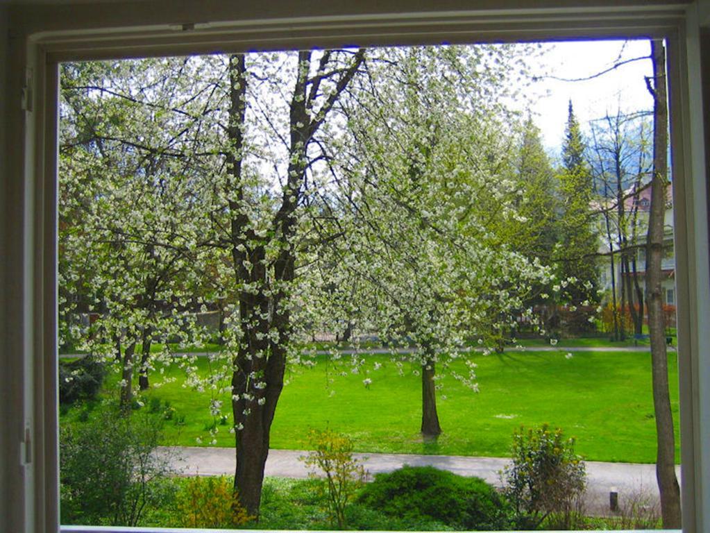 Ferienwohnung Am Ortenaupark Bad Reichenhall Luaran gambar